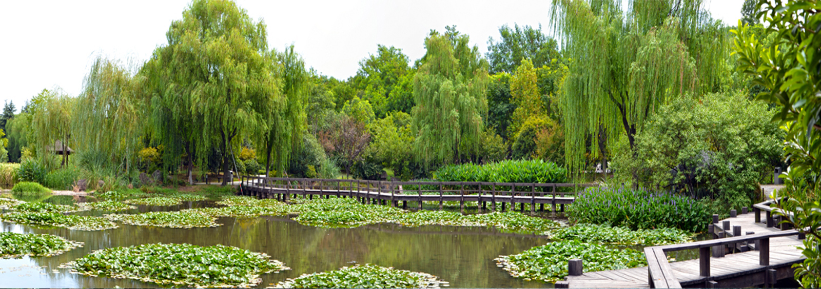 url(http://www_xmvactec_com.buduobang.com/theme/TP000163/pic/banner4.jpg)